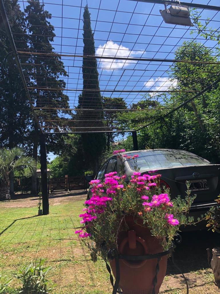 Ezeiza Quinta Cedro Azul 10 Min Del Aeropuerto Villa Ngoại thất bức ảnh
